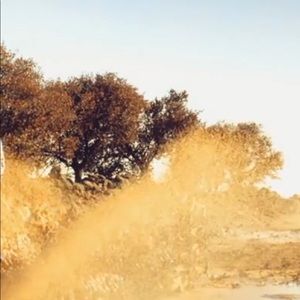 Meet your Posher, Shane